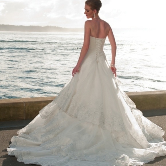 Sophia Tolli Wedding Dress - Picture 3 of 4